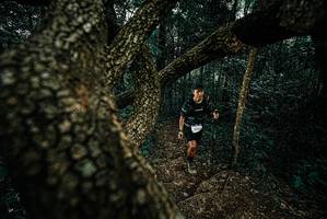 BIB: 
                            <button type="button" onclick="openModal(25695534)" class="btn btn-primary btn-sm float-right btn-popup" data-toggle="modal" data-target=".modal-high-quality">
                        <i class="fas fa-shopping-cart"></i> Add to Cart
                    </button>
                                            <button type="button" onclick="isThisMe(25695534, true)" class="btn btn-success btn-sm float-right btn-popup btn-isme hidden" data-toggle="tooltip" data-placement="bottom" title="นี่คือรูปของคุณใช่ไหม คลิกที่นี่เพื่อเอาเข้าอัลบั้ม">
                        <i class="fas fa-plus"></i> Add to album
                    </button>
                    <button type="button" onclick="isThisMe(25695534, false)" class="btn btn-warning btn-sm float-right btn-popup btn-isnotme hidden">
                        <i class="fas fa-ban"></i> Remove from album
                    </button>